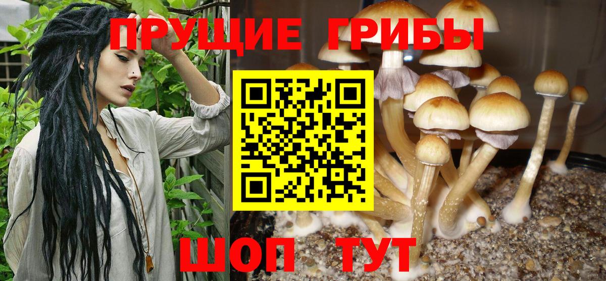 Галлюциногенные грибы Magic Shrooms  Вход с VPN  Галлюциногенные грибы ЛСД  где можно купить наркотик  Воронеж 