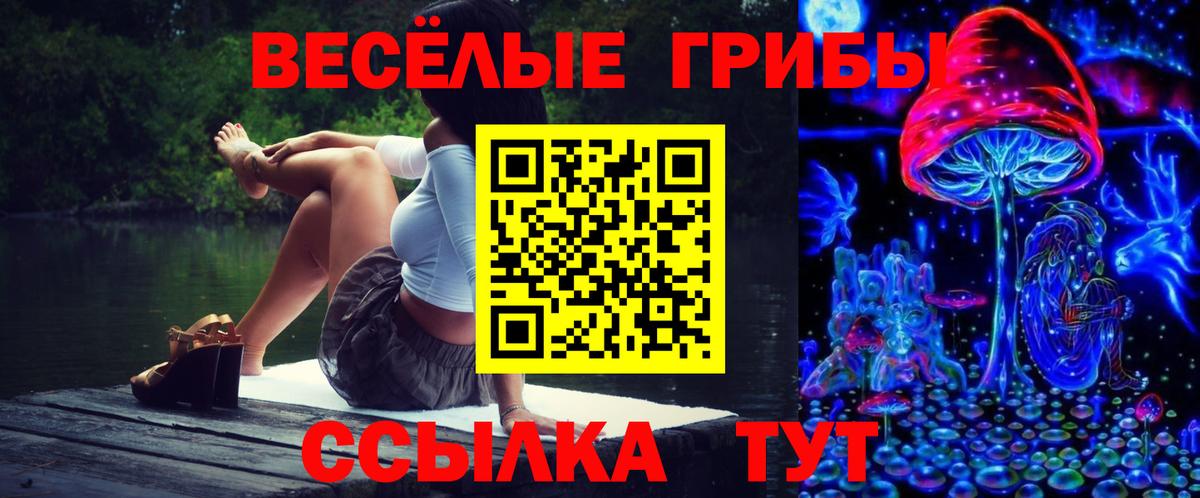 Галлюциногенные грибы прущие грибы Воронеж